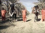 ISIS release horrific new beheading video of three ‘spies’ being killed by executioners on horseback