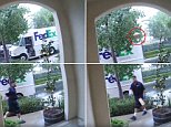 FedEx delivery driver caught carelessly throwing package from his moving truck