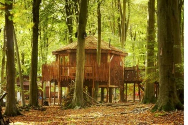 Forest Holidays wants Snowdonia luxury lodges development