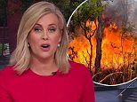 Sam Armytage gets heated over bushfire started by smokers