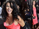 Adriana Lima stuns in pink slip at Jason Wu's NYFW show