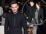 Liam Payne set to renovate luxury home