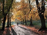 One killed in gas explosion in London's Hampstead Heath 