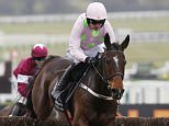 Cheltenham Festival 2017 RESULTS, LIVE HORSE RACING TODAY