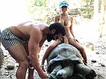 Anger at King of Instagram over insensitive turtle picture