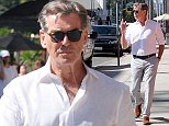 Dapper Pierce Brosnan, 63, shows off timeless good looks