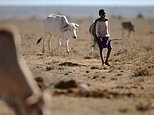 13 killed in Kenya in drought-related violence