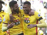 Watford 1-0 Sunderland: Miguel Angel Britos header wins it