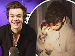 Harry Styles 'honoured' if he were godfather of Liam's son