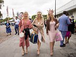 Melbourne Cup: Racegoers brave wet weather at Flemington