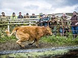 Pictures of life in the UK for Children in Need project