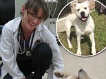 Vet shot her neighbors dog that wouldn't stop barking