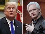 Report: Trump clearing way Julian Assange to return to US