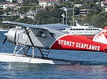 Seaplane model incidents part of investigators´ probe…