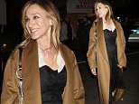 Sarah Jessica Parker and Malin Akerman bundle up in coats