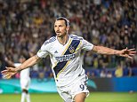 Sweden end Zlatan Ibrahimovic's international career with World Cup snub