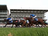 Robin Goodfellow's racing tips: Best bets for Saturday, May 19