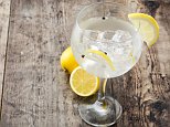 Good Housekeeping reveals why you should let ice in gin and tonic MELT